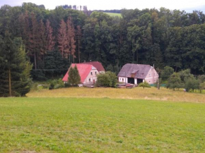 Apartmán ve mlýně